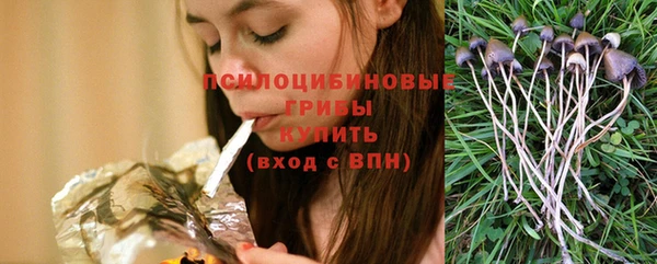 молекула духа Липки