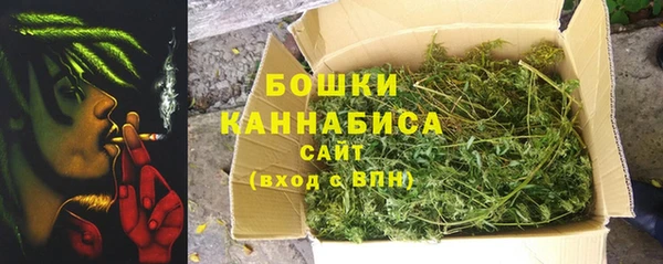 молекула духа Липки