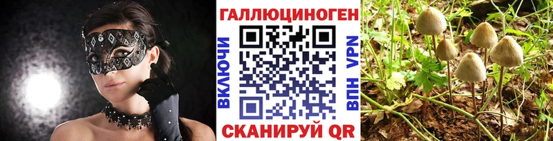 Галлюциногенные грибы мухоморы  Купить где  Елизово 